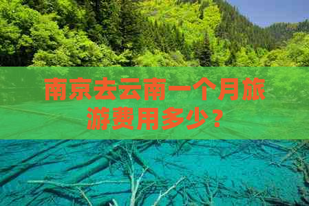 南京去云南一个月旅游费用多少？