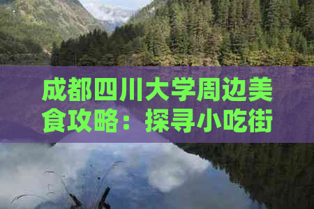 成都四川大学周边美食攻略：探寻小吃街热门景点与地道风味体验