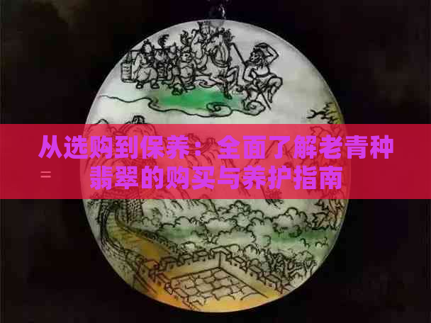 从选购到保养：全面了解老青种翡翠的购买与养护指南