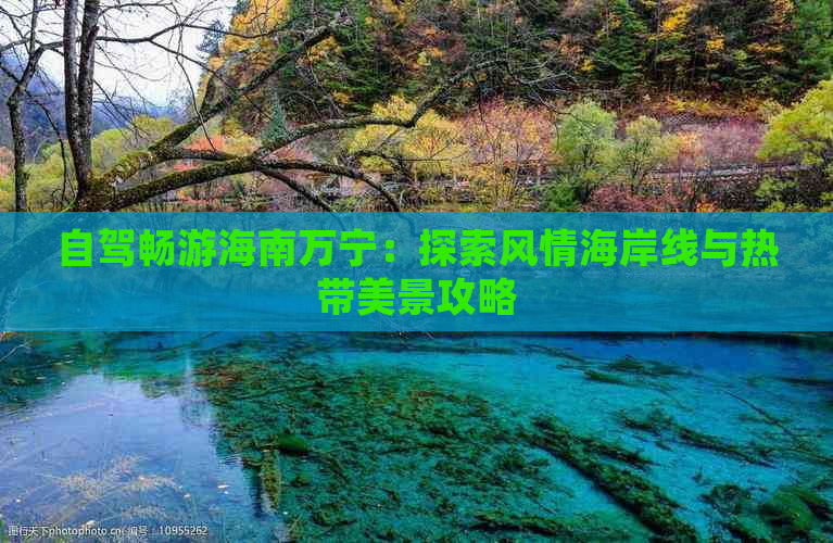 自驾畅游海南万宁：探索风情海岸线与热带美景攻略