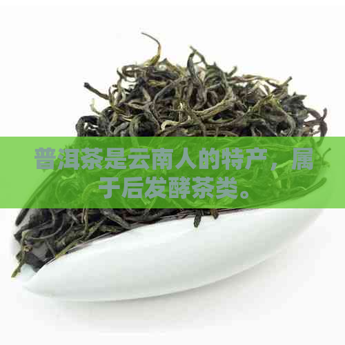 普洱茶是云南人的特产，属于后发酵茶类。