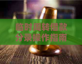 临时周转借款分录操作指南：全面解决您在财务处理过程中可能遇到的问题