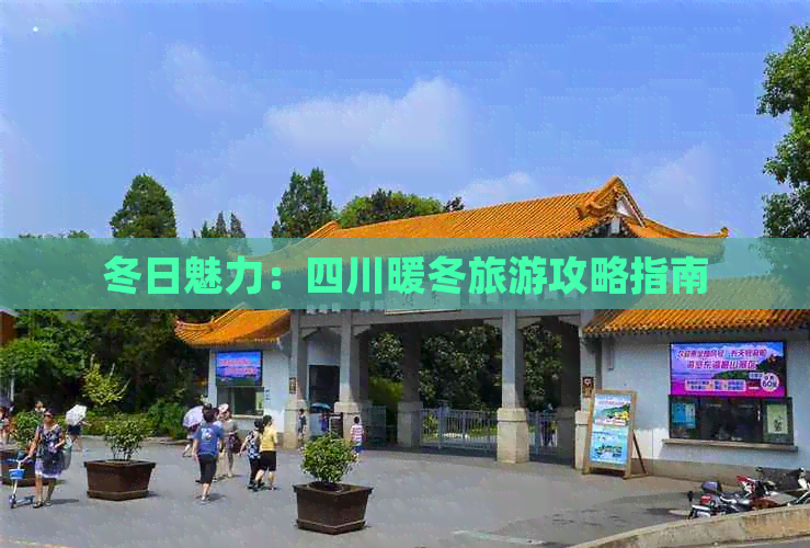 冬日魅力：四川暖冬旅游攻略指南