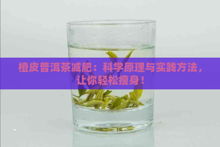 橙皮普洱茶减肥：科学原理与实践方法，让你轻松瘦身！