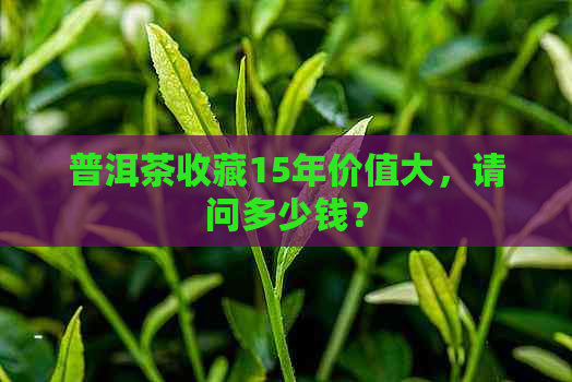 普洱茶收藏15年价值大，请问多少钱？