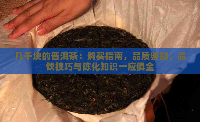 几千块的普洱茶：购买指南，品质鉴别，品饮技巧与陈化知识一应俱全