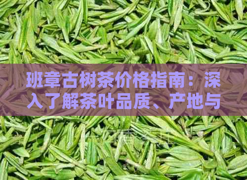 班章古树茶价格指南：深入了解茶叶品质、产地与市场行情