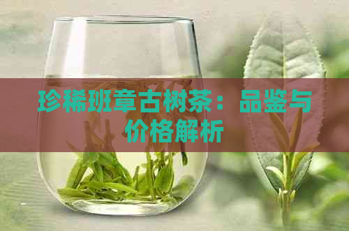 珍稀班章古树茶：品鉴与价格解析