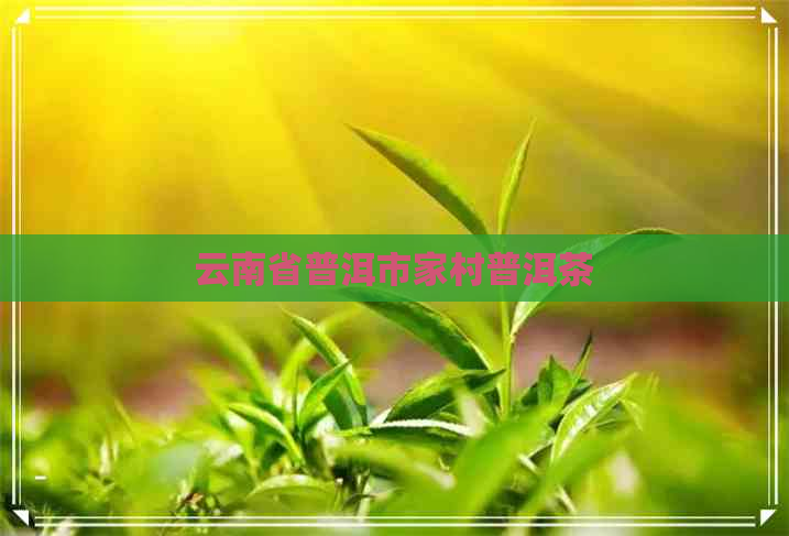 云南省普洱市家村普洱茶