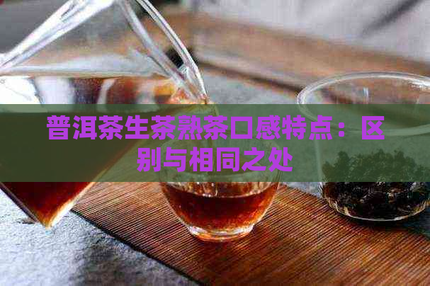 普洱茶生茶熟茶口感特点：区别与相同之处