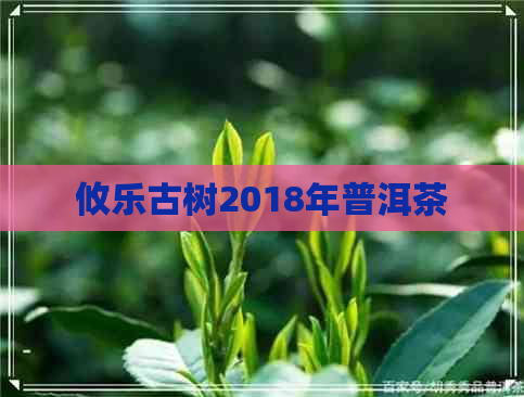 攸乐古树2018年普洱茶