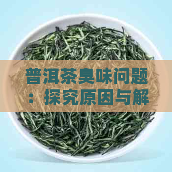 普洱茶臭味问题：探究原因与解决方法