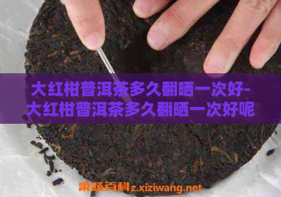 大红柑普洱茶多久翻晒一次好-大红柑普洱茶多久翻晒一次好呢