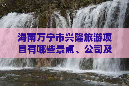 海南万宁市兴隆旅游项目有哪些景点、公司及特色地方