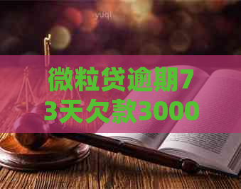 微粒贷逾期73天欠款3000多会怎么样处理