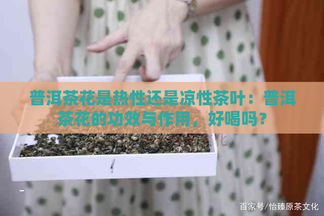 普洱茶花是热性还是凉性茶叶：普洱茶花的功效与作用，好喝吗？