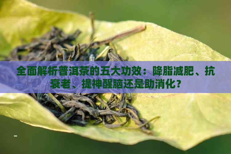 全面解析普洱茶的五大功效：降脂减肥、抗衰老、提神醒脑还是助消化？