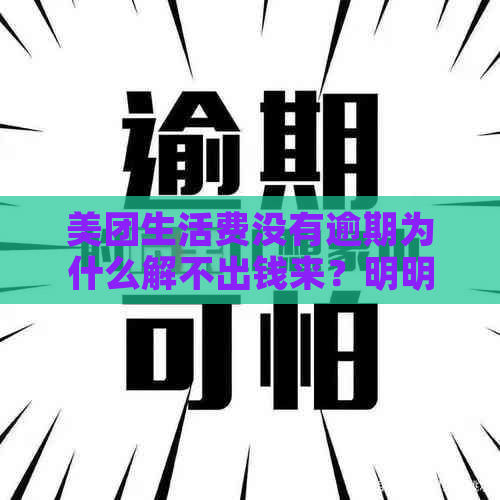 美团生活费没有逾期为什么解不出钱来？明明已还款，但再借却提示逾期。