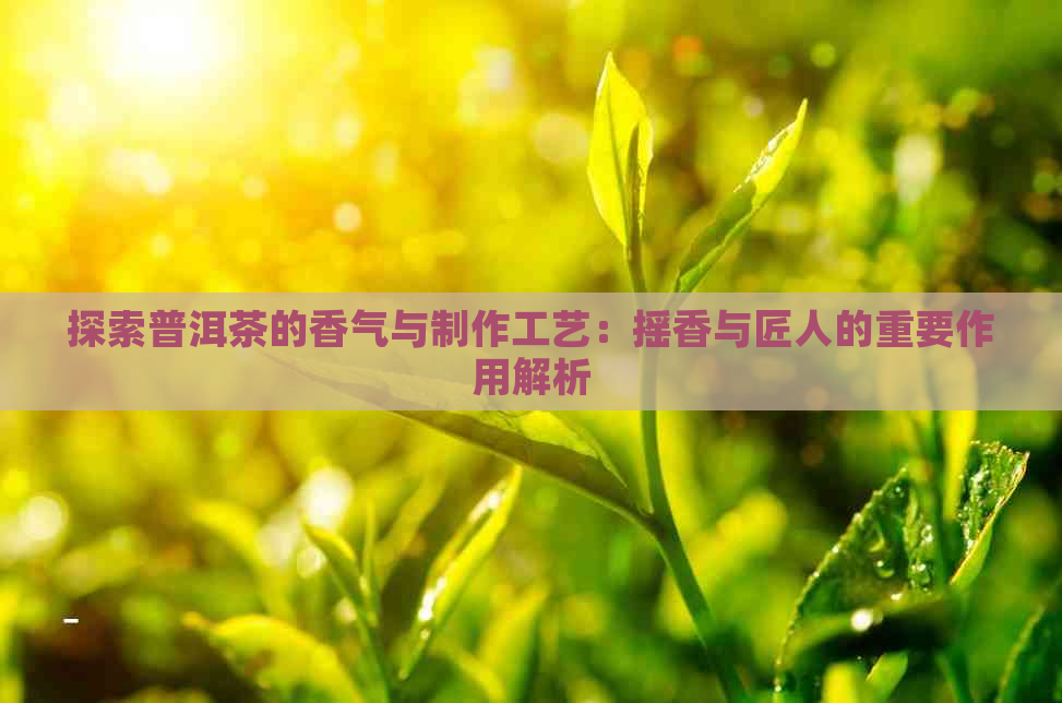 探索普洱茶的香气与制作工艺：摇香与匠人的重要作用解析