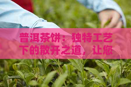 普洱茶饼：独特工艺下的散开之道，让您品鉴无障碍