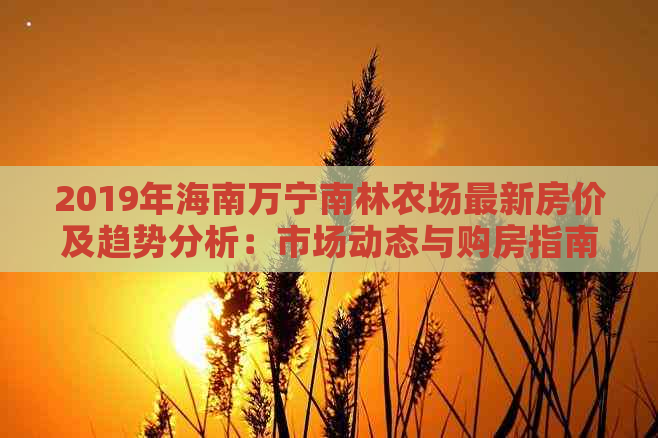 2019年海南万宁南林农场最新房价及趋势分析：市场动态与购房指南