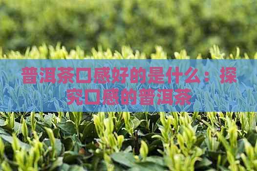 普洱茶口感好的是什么：探究口感的普洱茶