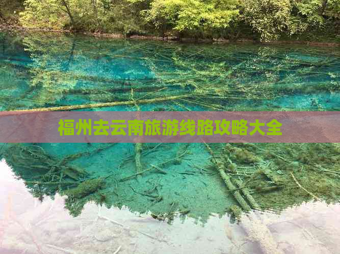 福州去云南旅游线路攻略大全