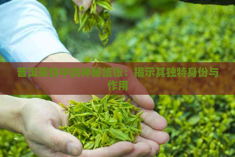 普洱茶饼中的神秘纸张：揭示其独特身份与作用