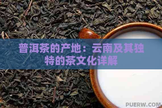 普洱茶的产地：云南及其独特的茶文化详解