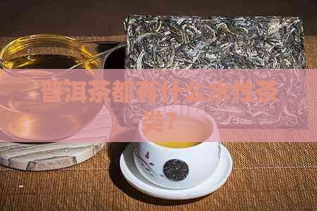 普洱茶都有什么水性茶类？