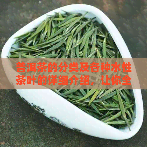 普洱茶的分类及各种水性茶叶的详细介绍，让你全面了解普洱茶的水性茶叶