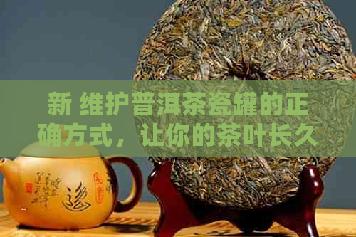 新 维护普洱茶瓷罐的正确方式，让你的茶叶长久保