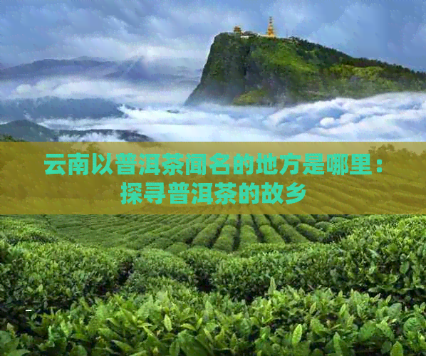 云南以普洱茶闻名的地方是哪里：探寻普洱茶的故乡