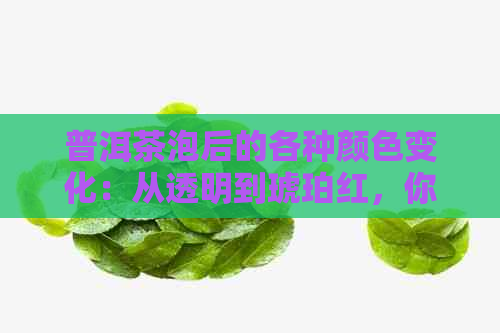 普洱茶泡后的各种颜色变化：从透明到琥珀红，你了解多少？