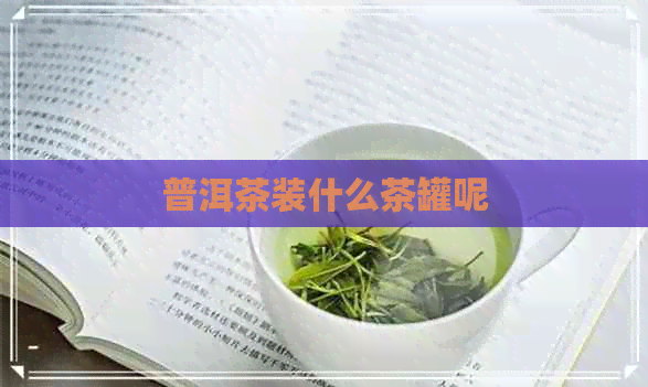 普洱茶装什么茶罐呢