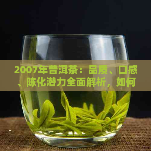 2007年普洱茶：品质、口感、陈化潜力全面解析，如何挑选与品鉴？