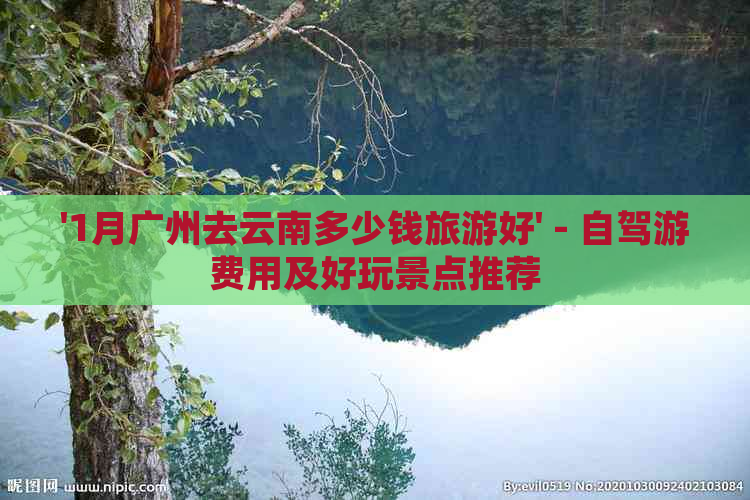 '1月广州去云南多少钱旅游好' - 自驾游费用及好玩景点推荐