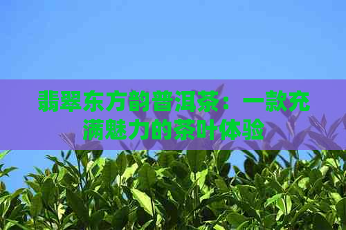 翡翠东方韵普洱茶：一款充满魅力的茶叶体验