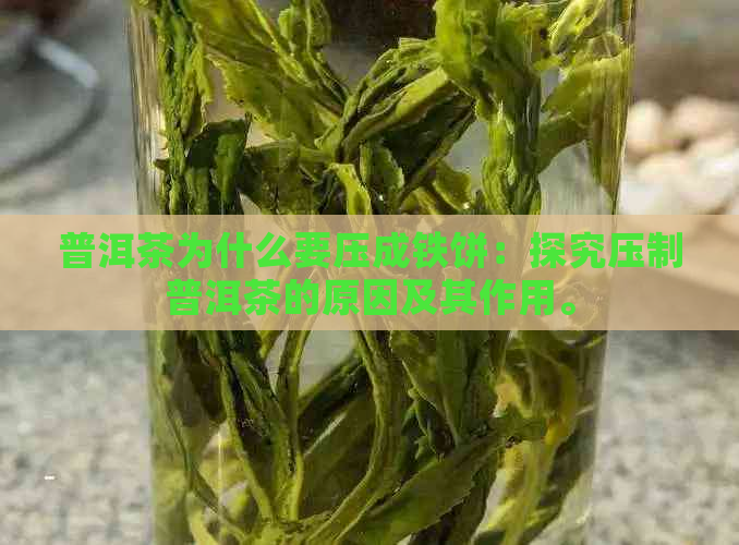 普洱茶为什么要压成铁饼：探究压制普洱茶的原因及其作用。