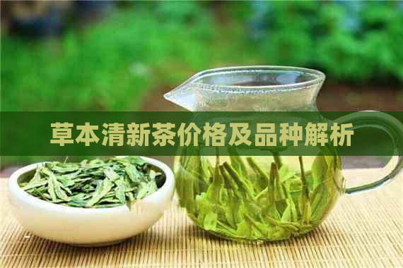 草本清新茶价格及品种解析