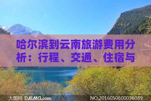 哈尔滨到云南旅游费用分析：行程、交通、住宿与美食全面掌握！