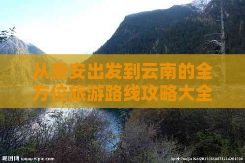 从泰安出发到云南的全方位旅游路线攻略大全