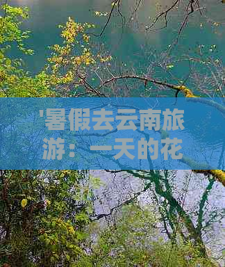 '暑假去云南旅游：一天的花费是多少？'