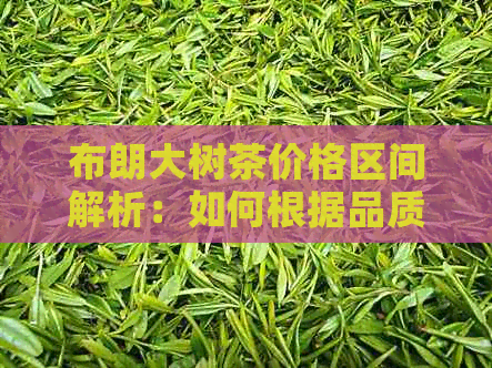 布朗大树茶价格区间解析：如何根据品质和选购合适的布朗大树茶？