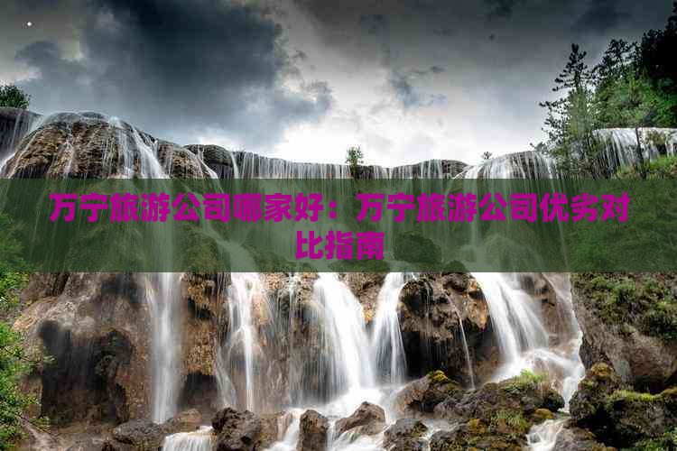 万宁旅游公司哪家好：万宁旅游公司优劣对比指南