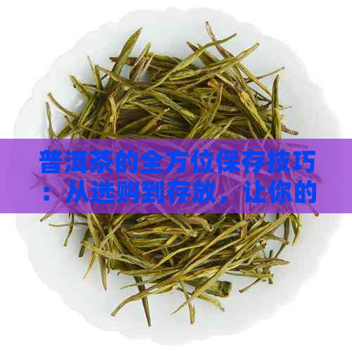 普洱茶的全方位保存技巧：从选购到存放，让你的茶叶保持状态