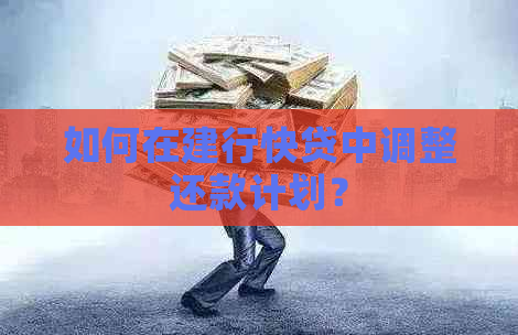 如何在建行快贷中调整还款计划？