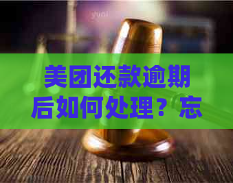 美团还款逾期后如何处理？忘记还款怎么办？详细解决方法一网打尽！