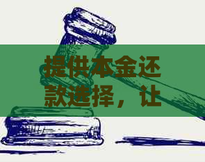 提供本金还款选择，让您灵活调整财务计划