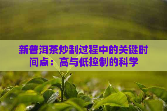 新普洱茶炒制过程中的关键时间点：高与低控制的科学